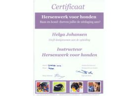 Certificaat Hersenwerk voor honden